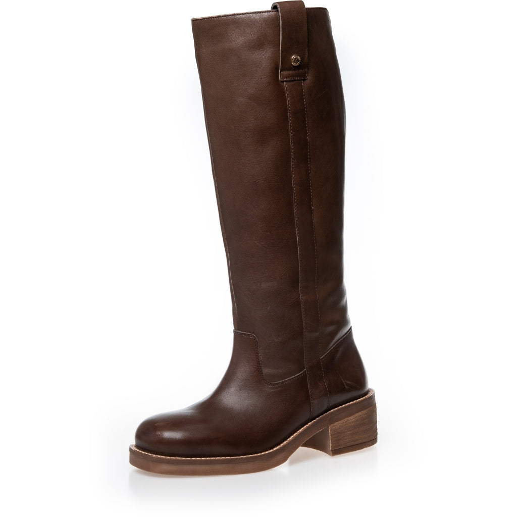Støvletter Glory Brown