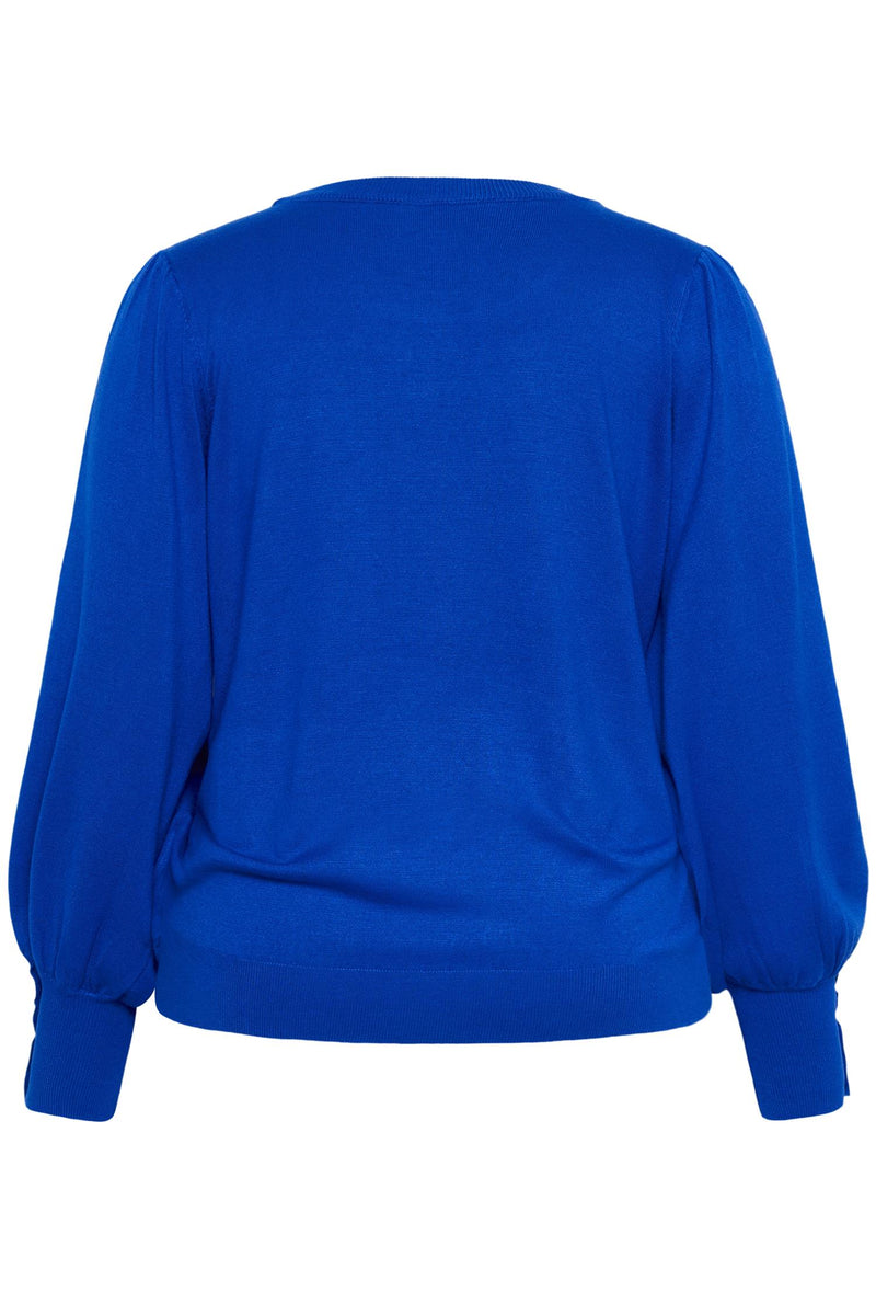 KClizzy LS Pullover Surf The Web
