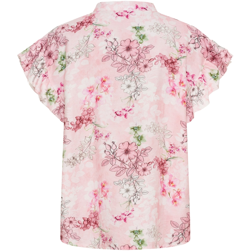 MdcSolrun Rosa