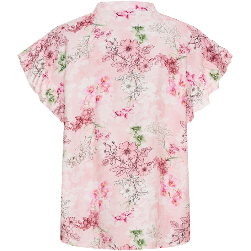 MdcSolrun Rosa