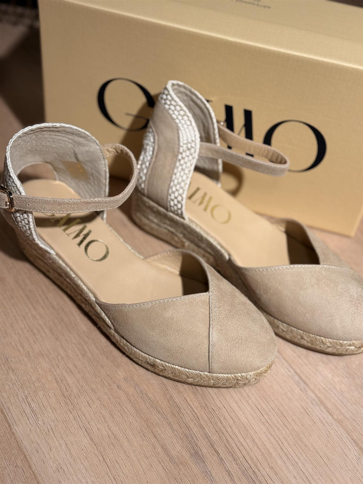 Gaimo Copita Ante Camello