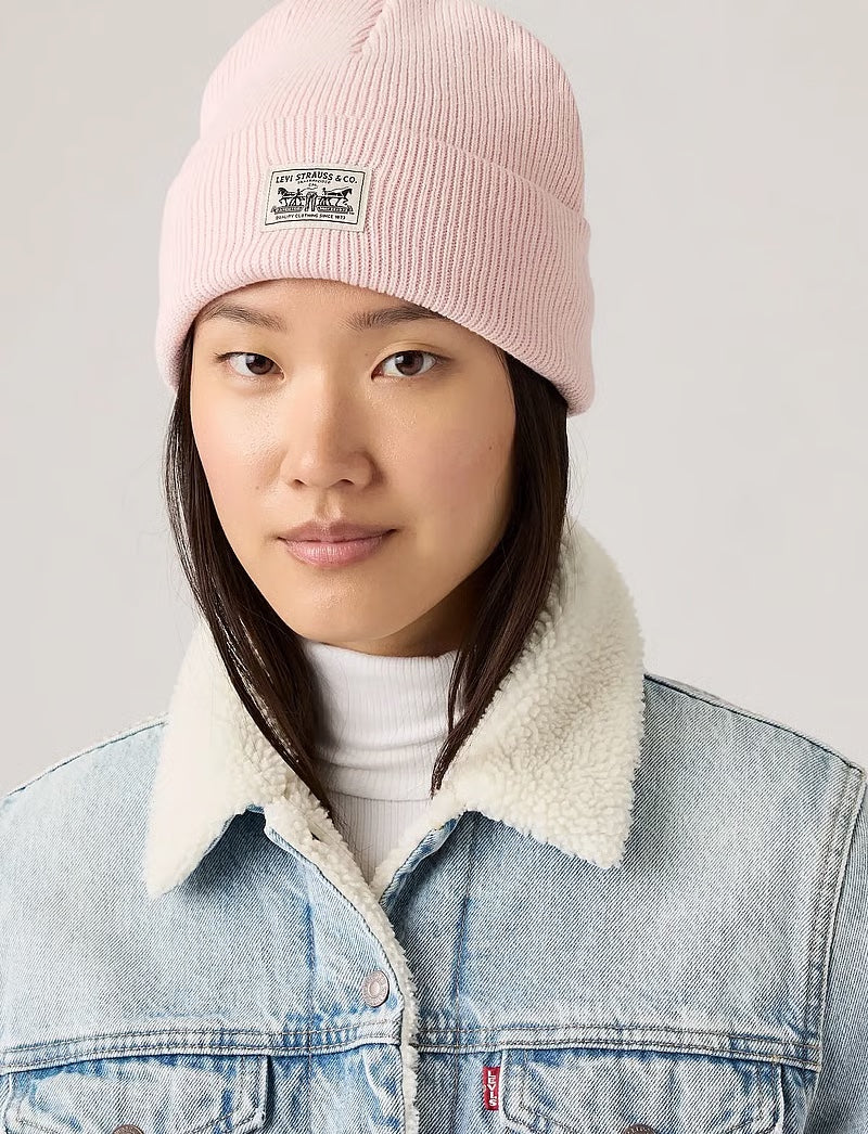 Levis Lue Backpatch Beanie Zephyr