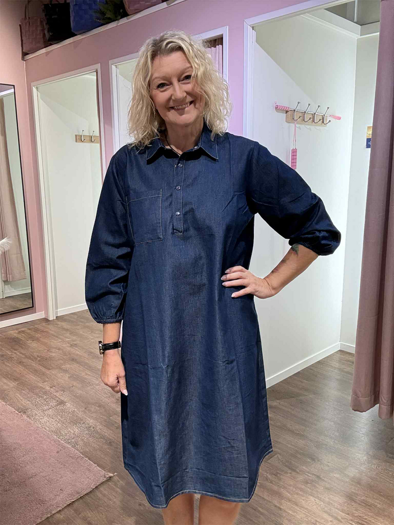 Tilde Denim Dress