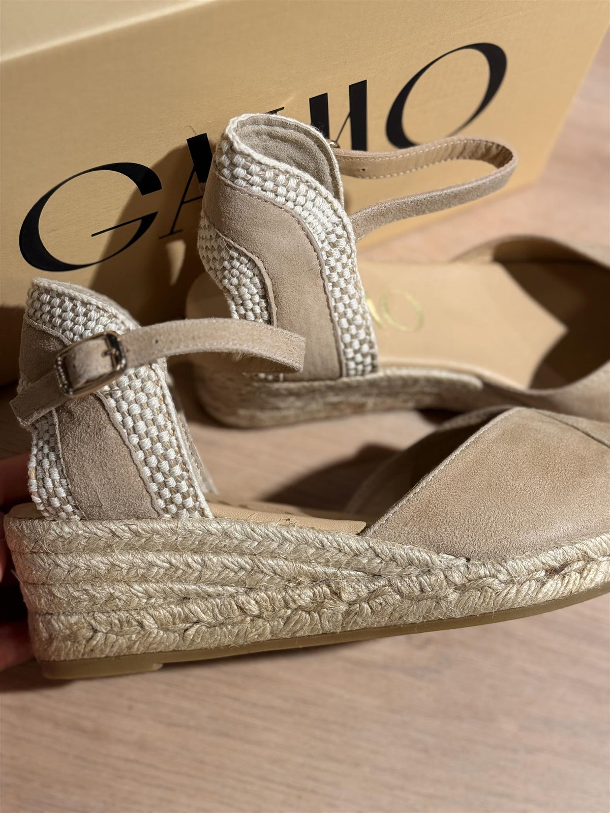 Gaimo Copita Ante Camello