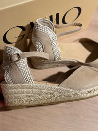 Gaimo Copita Ante Camello