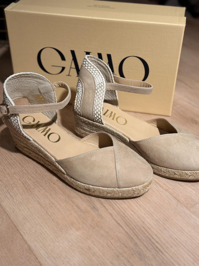 Gaimo Copita Ante Camello