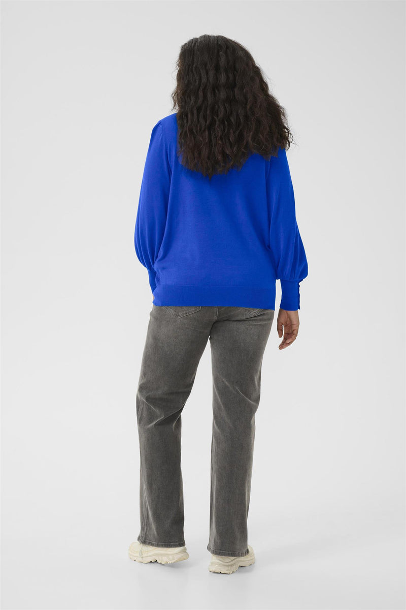 KClizzy LS Pullover Surf The Web