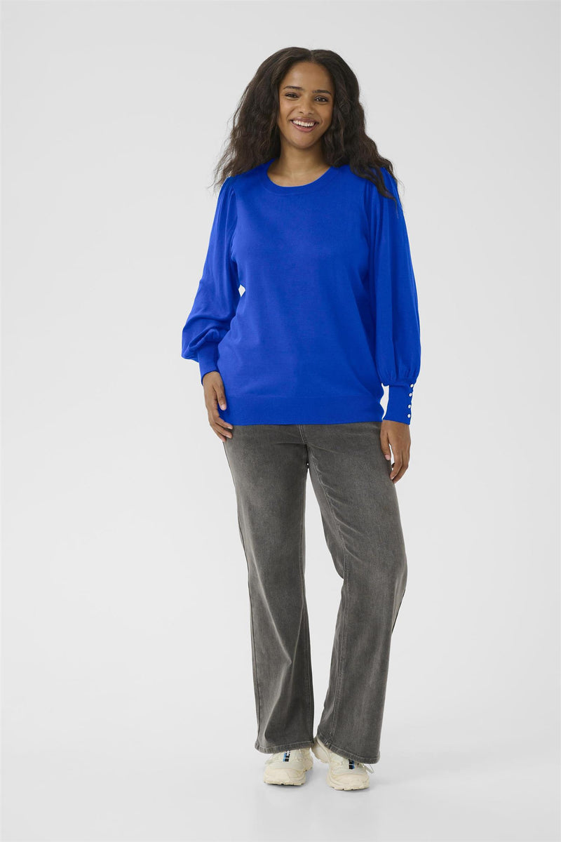 KClizzy LS Pullover Surf The Web