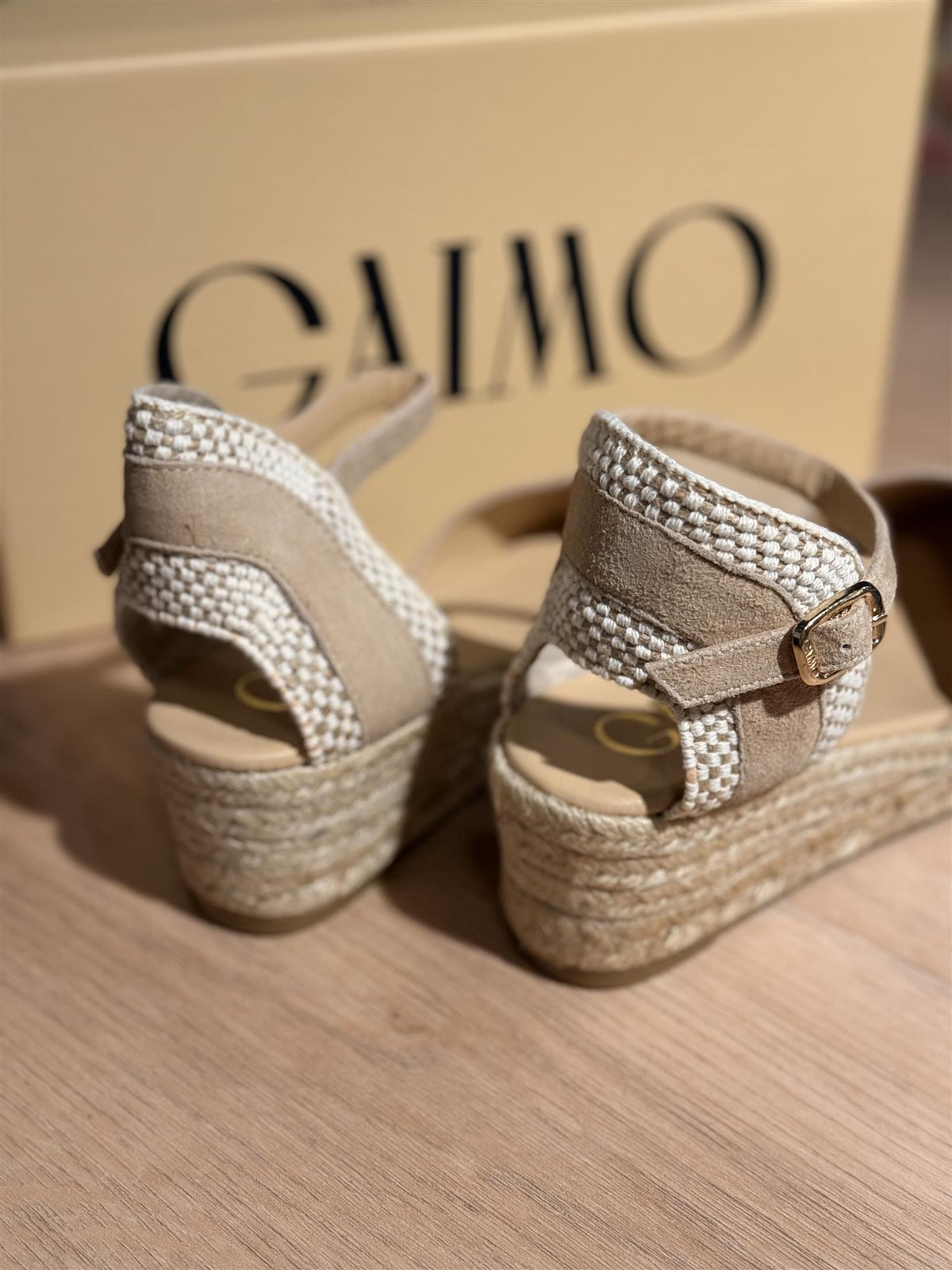 Gaimo Copita Ante Camello