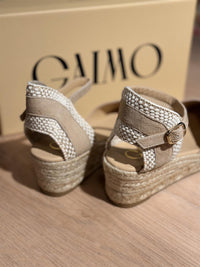 Gaimo Copita Ante Camello