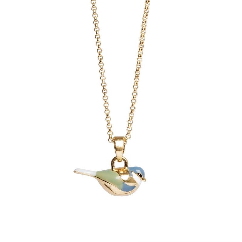 Kort kjede, Blue Tit