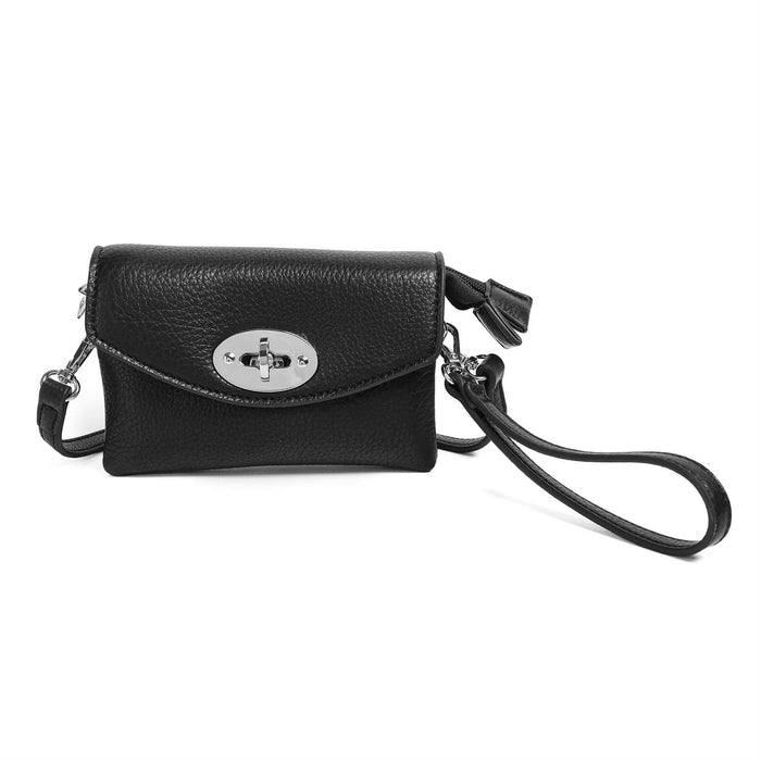 Danielle Mini Clutch Sort